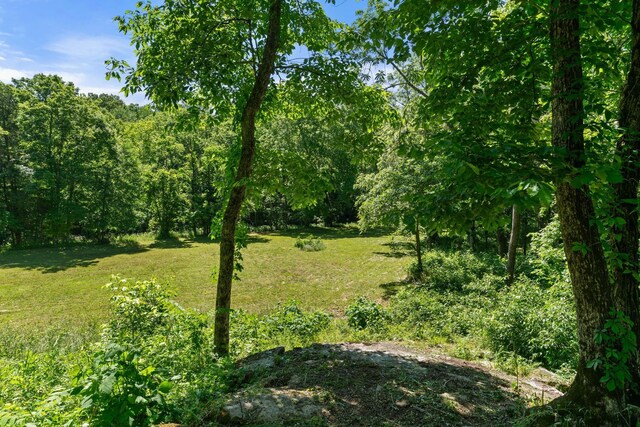 9072 Taylor Cemetery Rd, Lyles, TN 37098 - photo 21