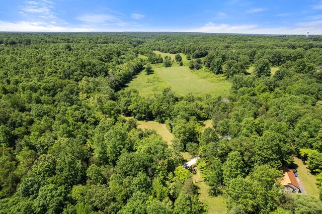 9072 Taylor Cemetery Rd, Lyles, TN 37098 - photo 35