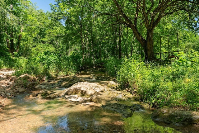 9072 Taylor Cemetery Rd, Lyles, TN 37098 - photo 28