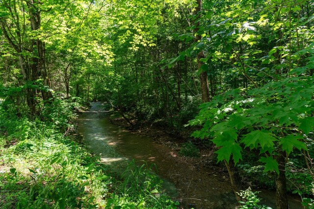 9072 Taylor Cemetery Rd, Lyles, TN 37098 - photo 23