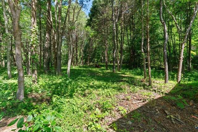 9072 Taylor Cemetery Rd, Lyles, TN 37098 - photo 19