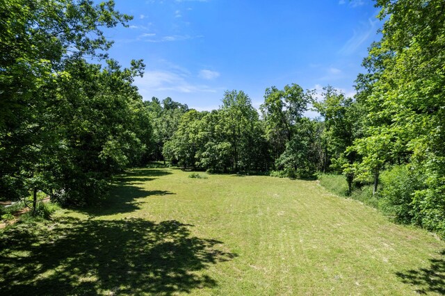 9072 Taylor Cemetery Rd, Lyles, TN 37098 - photo 29