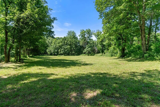 9072 Taylor Cemetery Rd, Lyles, TN 37098 - photo 22