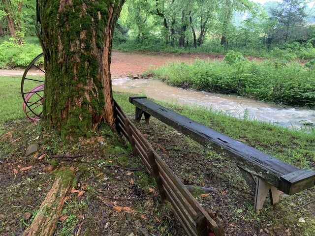 9072 Taylor Cemetery Rd, Lyles, TN 37098 - photo 42