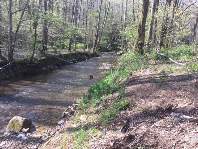 9072 Taylor Cemetery Rd, Lyles, TN 37098 - photo 39