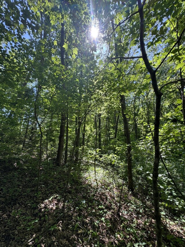 588 Main St, Palmer, TN 37365