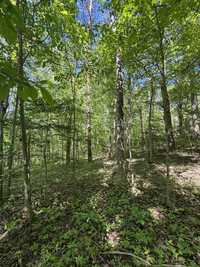 588 Main St, Palmer, TN 37365