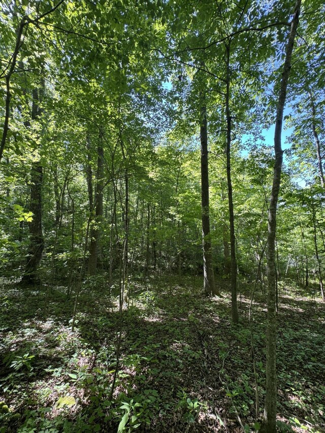 588 Main St, Palmer, TN 37365