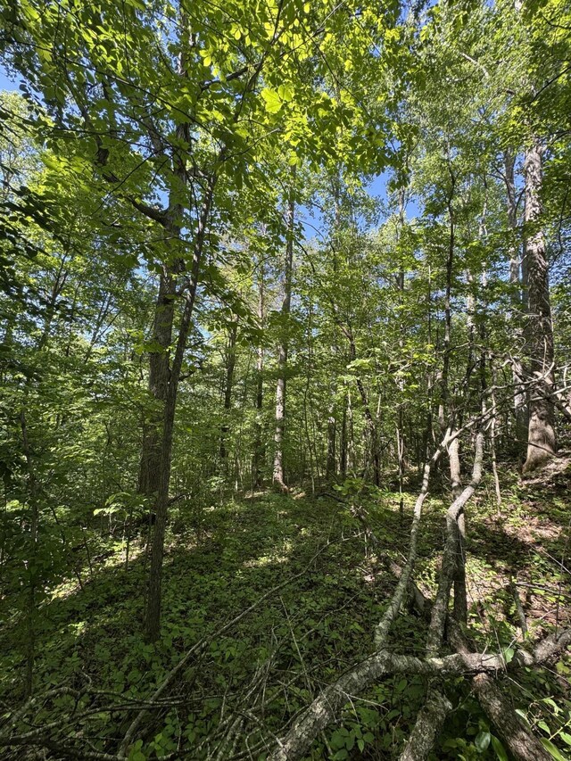 588 Main St, Palmer, TN 37365