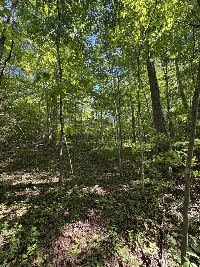 588 Main St, Palmer, TN 37365
