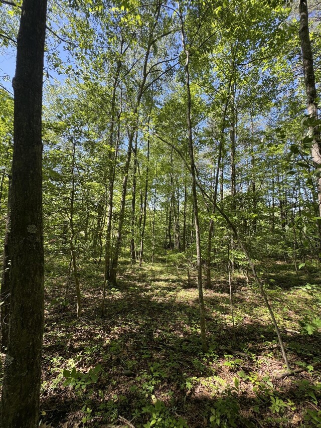 588 Main St, Palmer, TN 37365