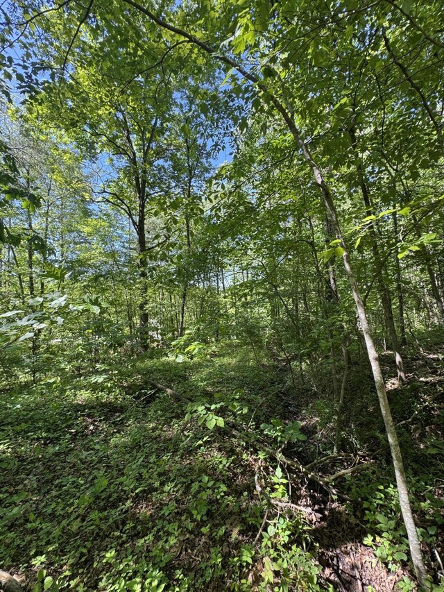588 Main St, Palmer, TN 37365