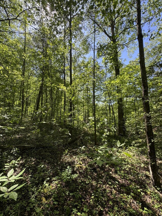 588 Main St, Palmer, TN 37365