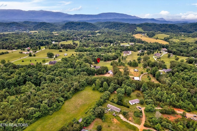 6039 Lindrick Ln, Maryville, TN 37801 - photo 59