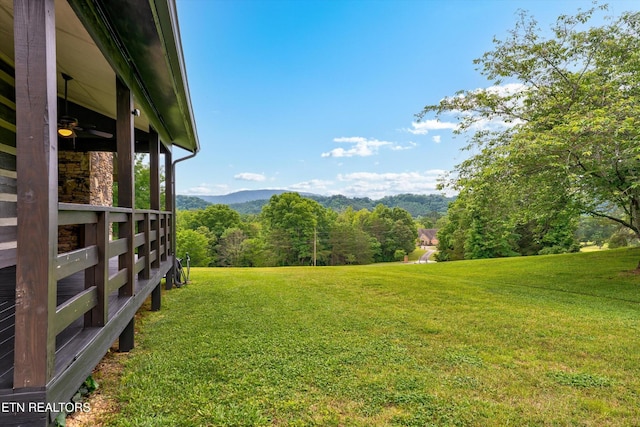 6039 Lindrick Ln, Maryville, TN 37801 - photo 52