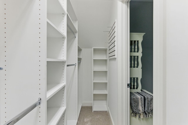 205 Saint Anne Way, Franklin, TN 37064 - walk in closet with carpet
