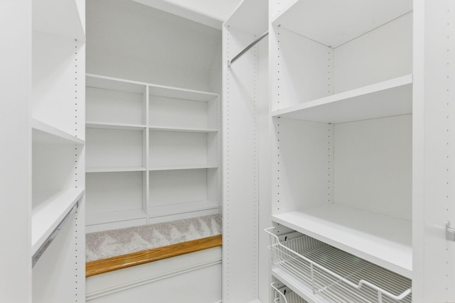 205 Saint Anne Way, Franklin, TN 37064 - view of walk in closet