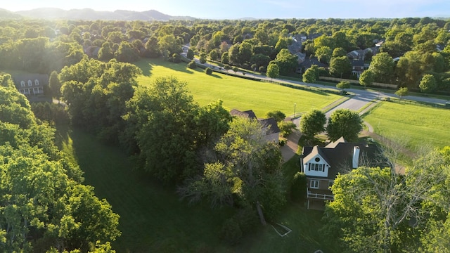205 Saint Anne Way, Franklin, TN 37064 - aerial view of sparsely populated area