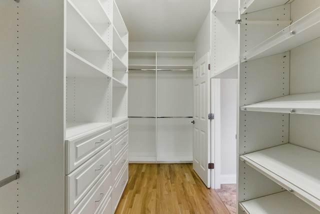 205 Saint Anne Way, Franklin, TN 37064 - spacious closet featuring light wood finished floors