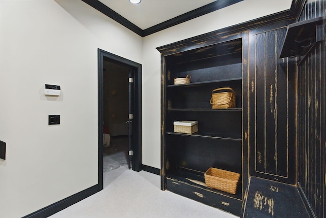 205 Saint Anne Way, Franklin, TN 37064 - corridor with crown molding, carpet, and baseboards