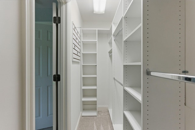 205 Saint Anne Way, Franklin, TN 37064 - spacious closet featuring carpet