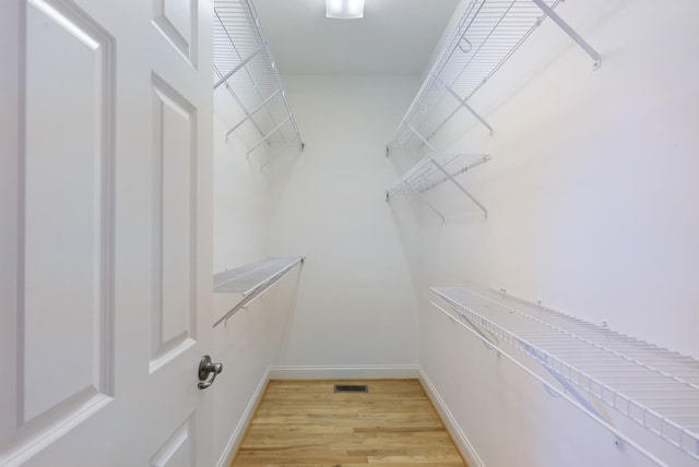 205 Saint Anne Way, Franklin, TN 37064 - walk in closet with light wood finished floors