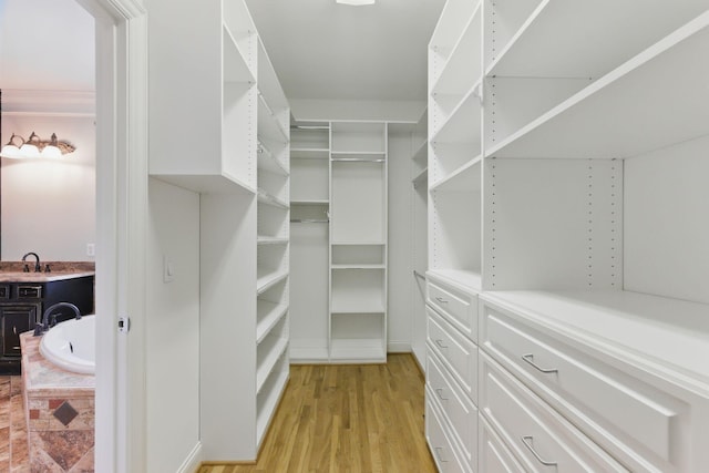 205 Saint Anne Way, Franklin, TN 37064 - spacious closet with light wood finished floors and a sink