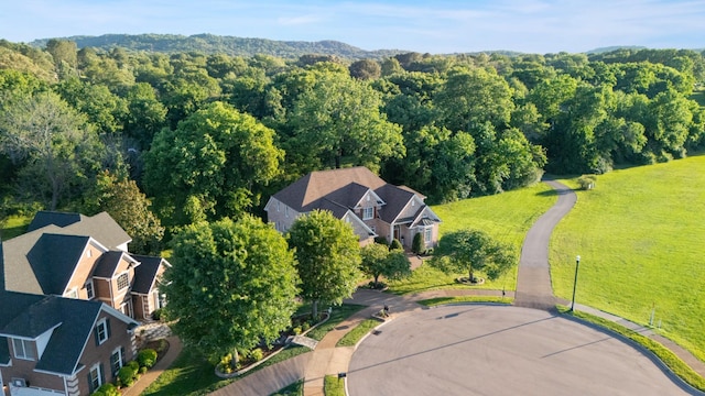 205 Saint Anne Way, Franklin, TN 37064 - drone / aerial view of a forest