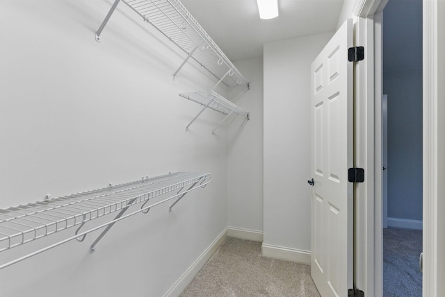 205 Saint Anne Way, Franklin, TN 37064 - spacious closet featuring light carpet