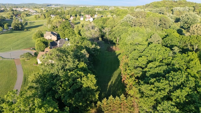 205 Saint Anne Way, Franklin, TN 37064 - view of property location featuring a forest