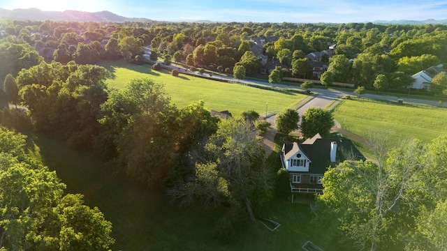 205 Saint Anne Way, Franklin, TN 37064 - bird's eye view of a forest