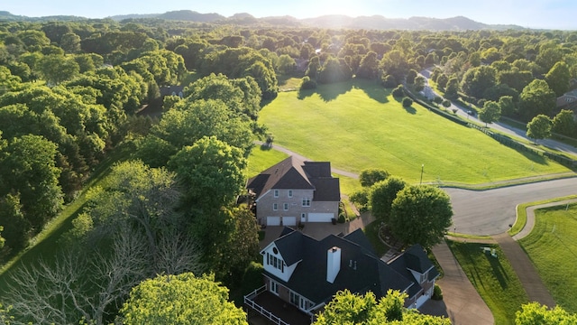205 Saint Anne Way, Franklin, TN 37064 - bird's eye view