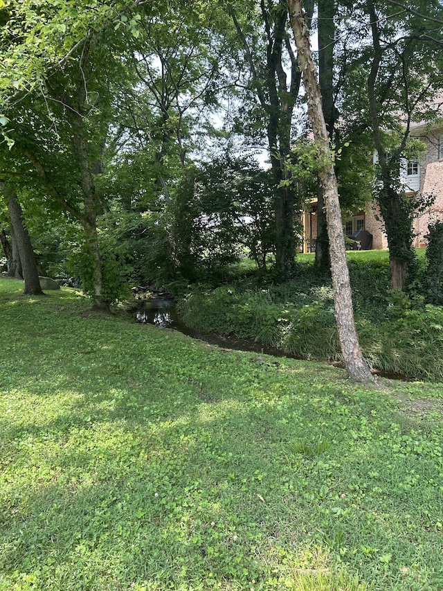 205 Saint Anne Way, Franklin, TN 37064 - view of green lawn