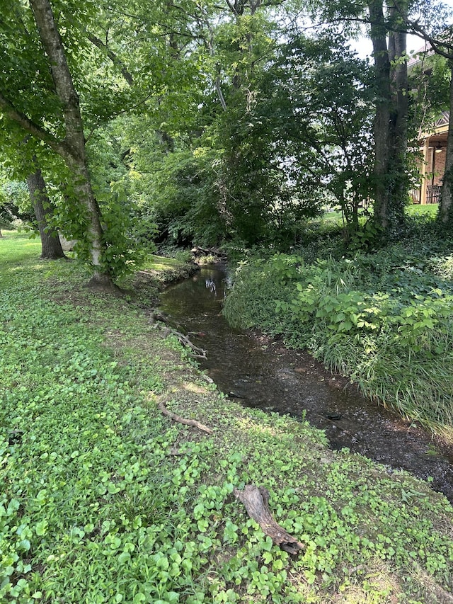205 Saint Anne Way, Franklin, TN 37064 - view of yard