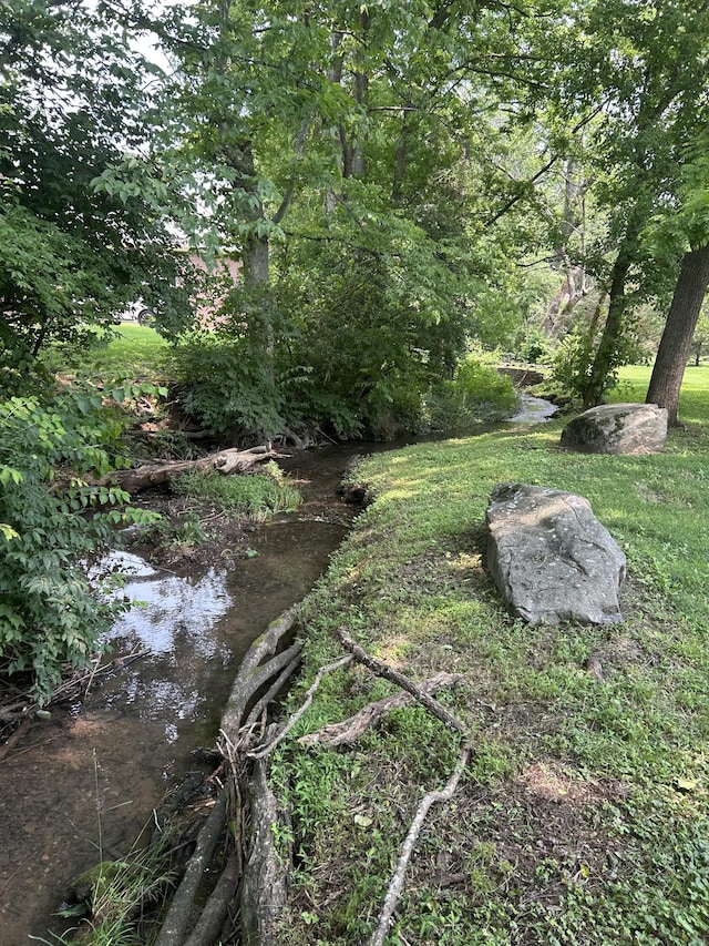 205 Saint Anne Way, Franklin, TN 37064 - view of yard