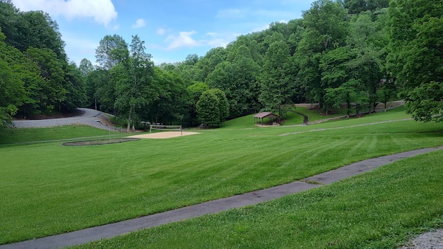 11 Bay Dr, Lancaster, TN 38569 - photo 7