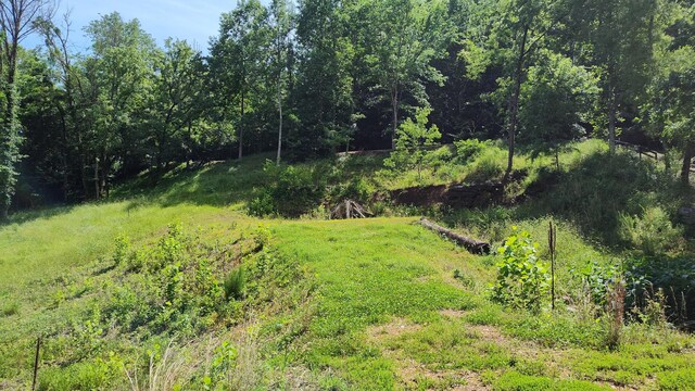 11 Bay Dr, Lancaster, TN 38569 - photo 3
