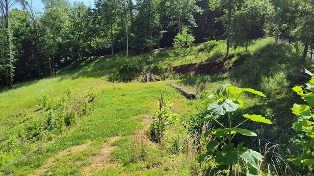 11 Bay Dr, Lancaster, TN 38569 - photo 4