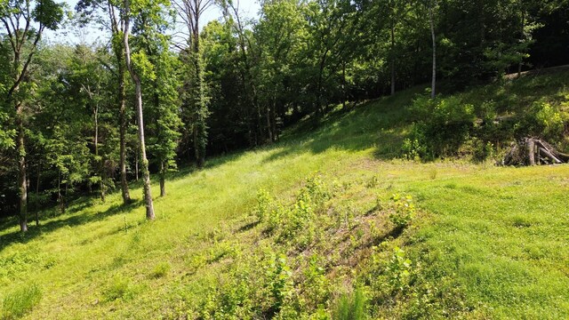 11 Bay Dr, Lancaster, TN 38569 - photo 11