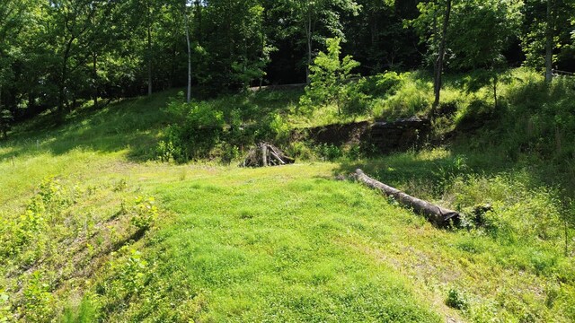 11 Bay Dr, Lancaster, TN 38569 - photo 10