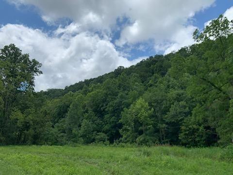 0 Wartrace Rd, Whitleyville, TN 38588