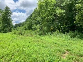 0 Wartrace Rd, Whitleyville, TN 38588