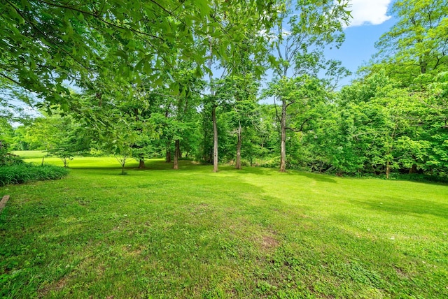 1711 Lovers Ln, Hopkinsville, KY 42240 - view of grassy yard