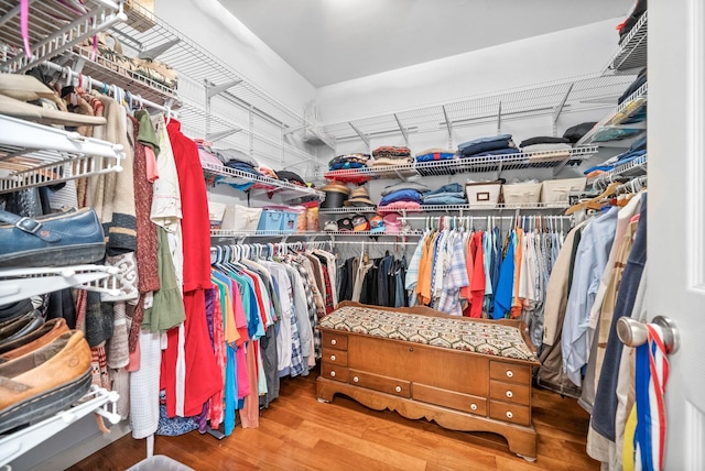 1711 Lovers Ln, Hopkinsville, KY 42240 - walk in closet with wood finished floors