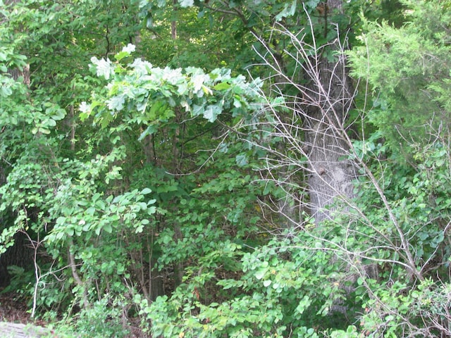 0 W Little Richland Rd, Waverly, TN 37185