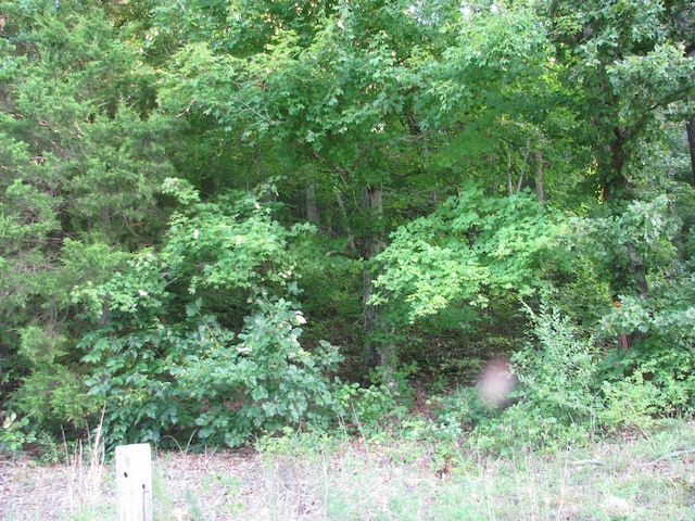 0 W Little Richland Rd, Waverly, TN 37185