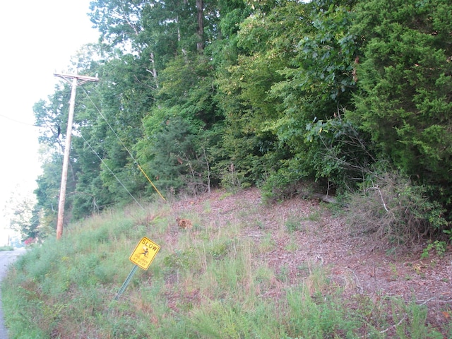 0 W Little Richland Rd, Waverly, TN 37185