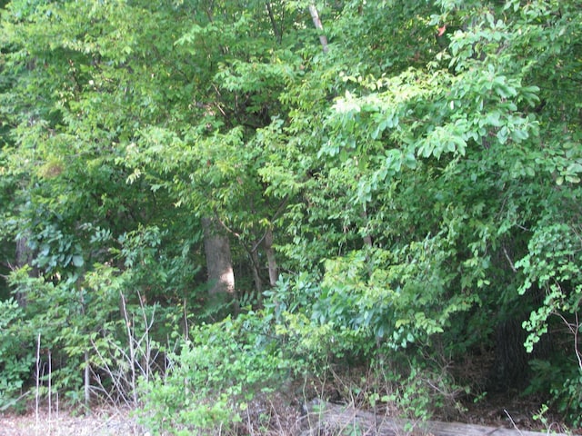 0 W Little Richland Rd, Waverly, TN 37185