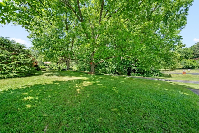 6 Canterbury Rd, Clarksville, TN 37043 - photo 5