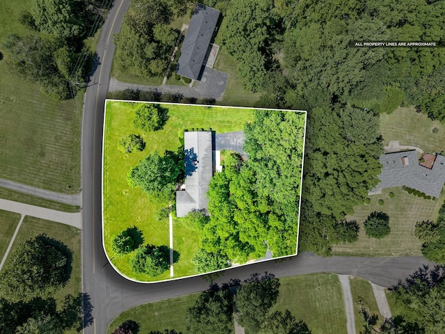 6 Canterbury Rd, Clarksville, TN 37043 - photo 35